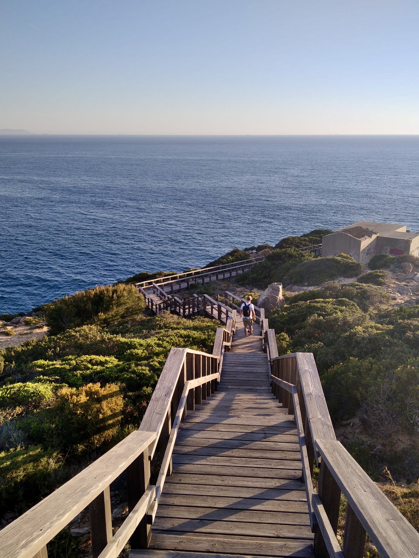 Home Thomas Van Hamme